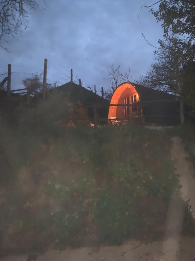 Gallas Pod House Vouzela Zewnętrze zdjęcie