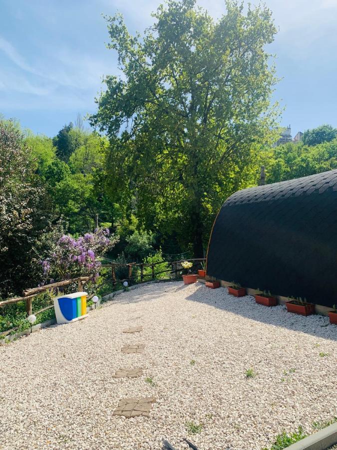 Gallas Pod House Vouzela Zewnętrze zdjęcie