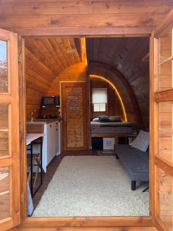 Gallas Pod House Vouzela Zewnętrze zdjęcie